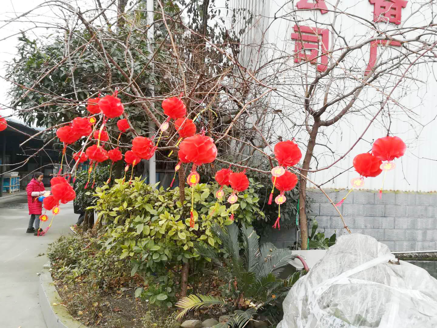四川草莓视频下载APP草莓污视频免费下载设备公司年会4