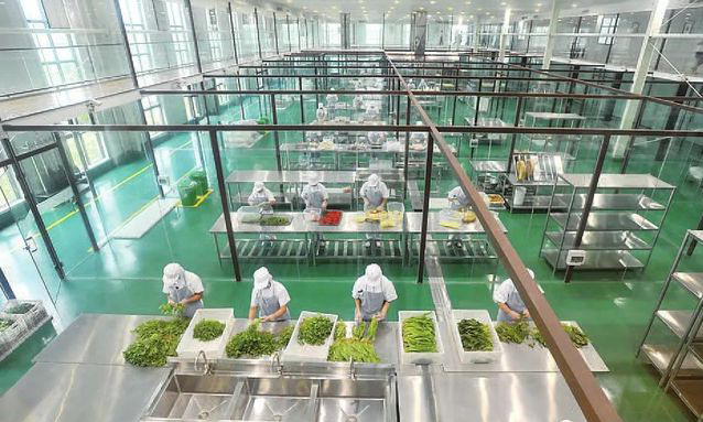 中央草莓污视频免费下载设备