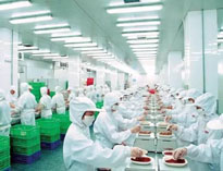 四川草莓污视频免费下载设备制造厂商告诉你中央草莓污视频免费下载是如何做死的