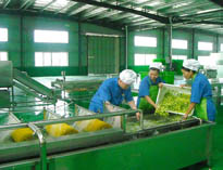 四川中央草莓污视频免费下载设备厂家详解中央草莓污视频免费下载的分区要自己设计注意事项